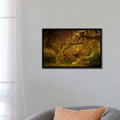 " Spring Maple " by Don Schwartz