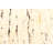 Sienna Beige Rug 5'4" x 7'7"