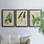 «Elegant Tropicals I», ensemble de 3 reproductions d'art sur toile-530225525-530225534