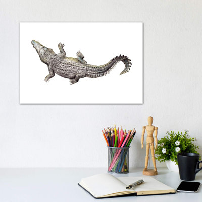 " Croc " by Wandering Laur