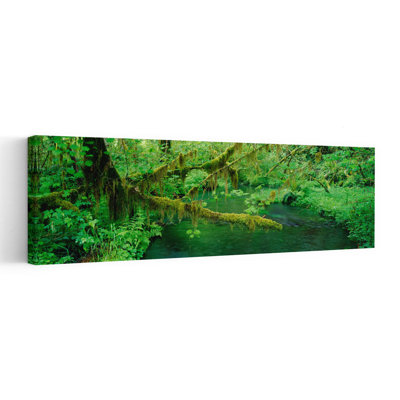 Stream Flowing Through A Rainforest, Hoh Rainforest, Olympic National Park, Washington State, Usa Abstract Contemporary Forest Landscape Wall Art