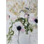 Anemones In Vase Print by Katie Ré Scheidt-1077511962-1077524685