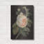Art mural en métal Lark Manor ™ «Heirloom Pink Rose On Black» par Danhui Nai