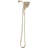 Shower Arm-72187142