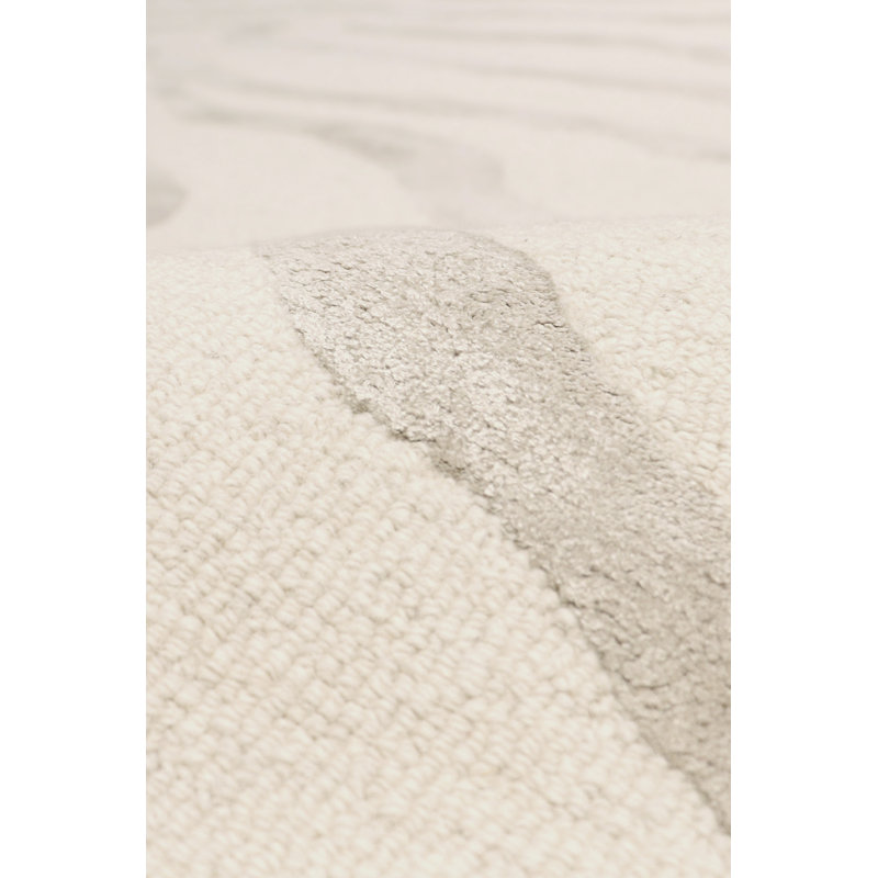 Tapis beige / brun touffeté à la main à imprimé animal, Rectangle 12 pi x 15 pi