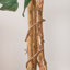 Arbre ficus artificiel en pot-48936682