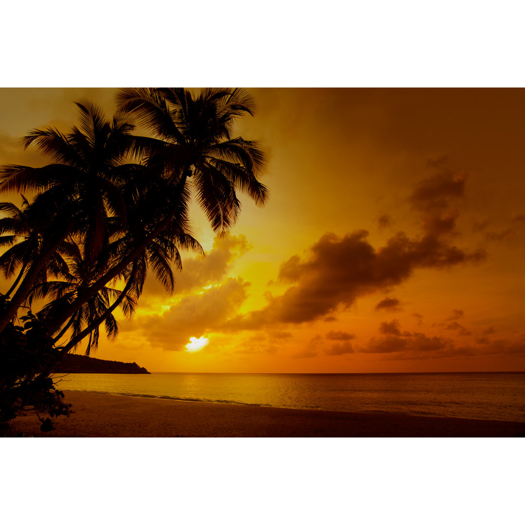 Sonnenuntergang an einem tropischen Strand von Cdwheatley - Leinwandbild