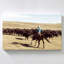 "Bison Roundup" by Danita Delimont Print on Canvas-2140798718