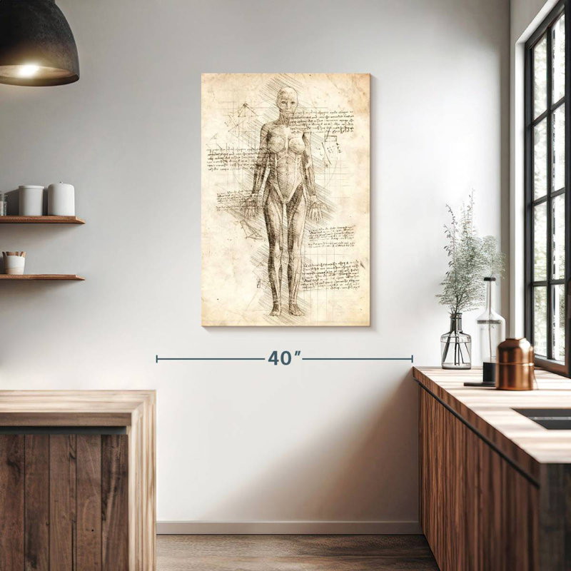 Anatomie féminine Keiri, H 39 po x l 26 po