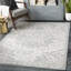Caelan Grey/Ivory Area Rug-751543649