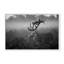 Photographie inspirée de la nature par Robert Fabrowski - Photographie encadrée sur papier-81386949-131297619-131297620