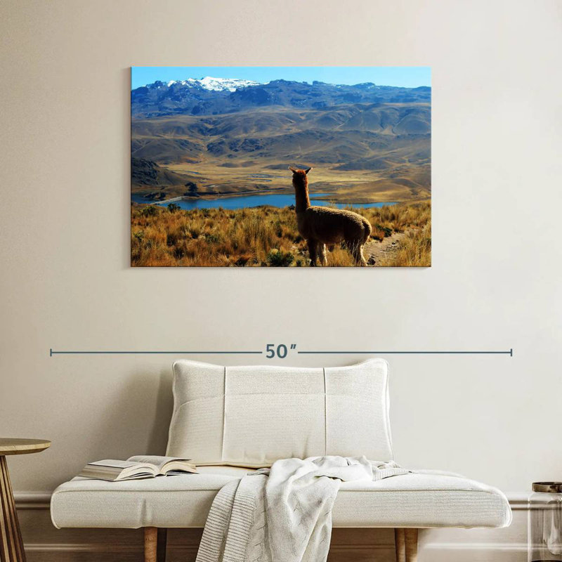 Brampt Lakeside Alpaca, 26" H x 39" W