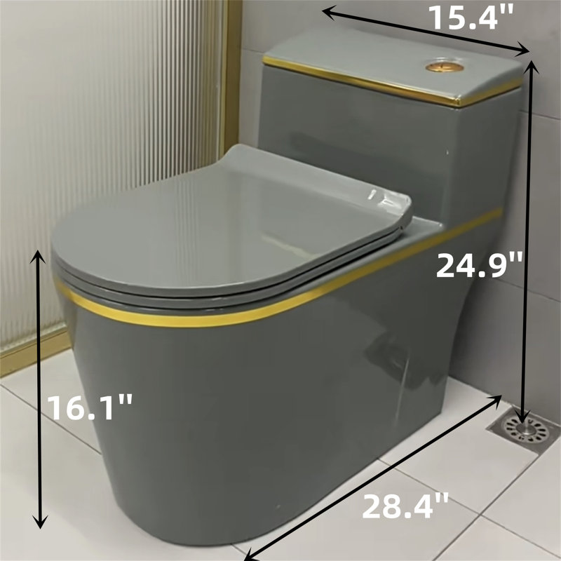 Dual-Flush Elongated One-Piece Toilet (Seat Included)