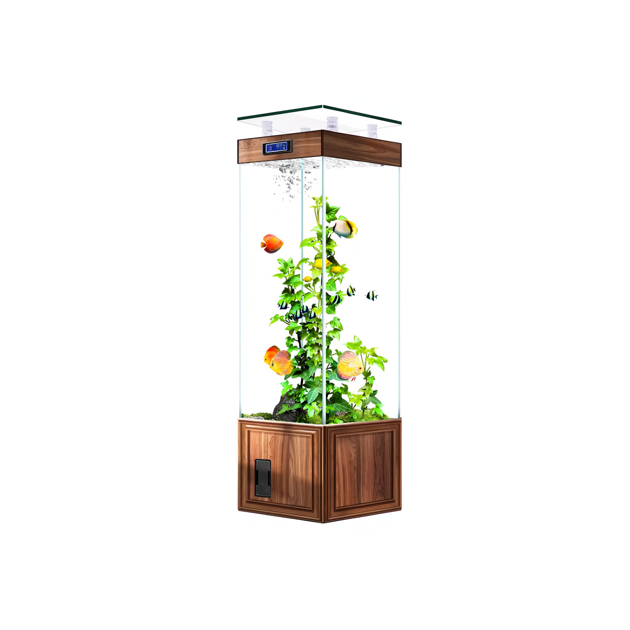 Modern Low Budget Goldfish Tank