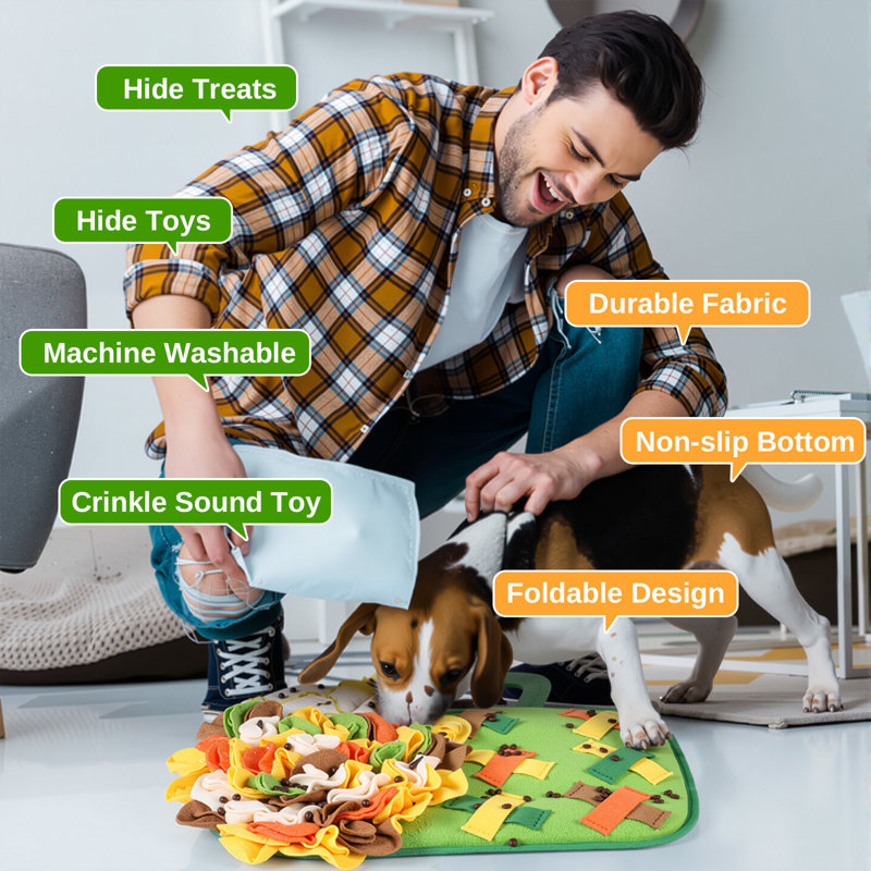 Polyester Pet Bed, Green