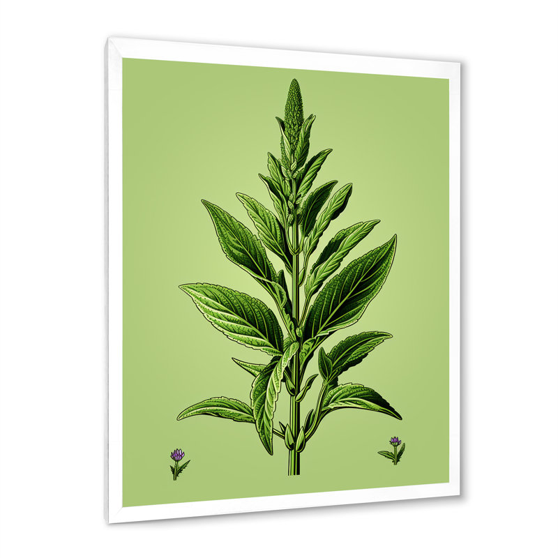 «Green Minimalist Herbal Harmony I - Floral Herbs», art mural, Cadre simple blanc, H 20 po x l 12 po x P 1 po