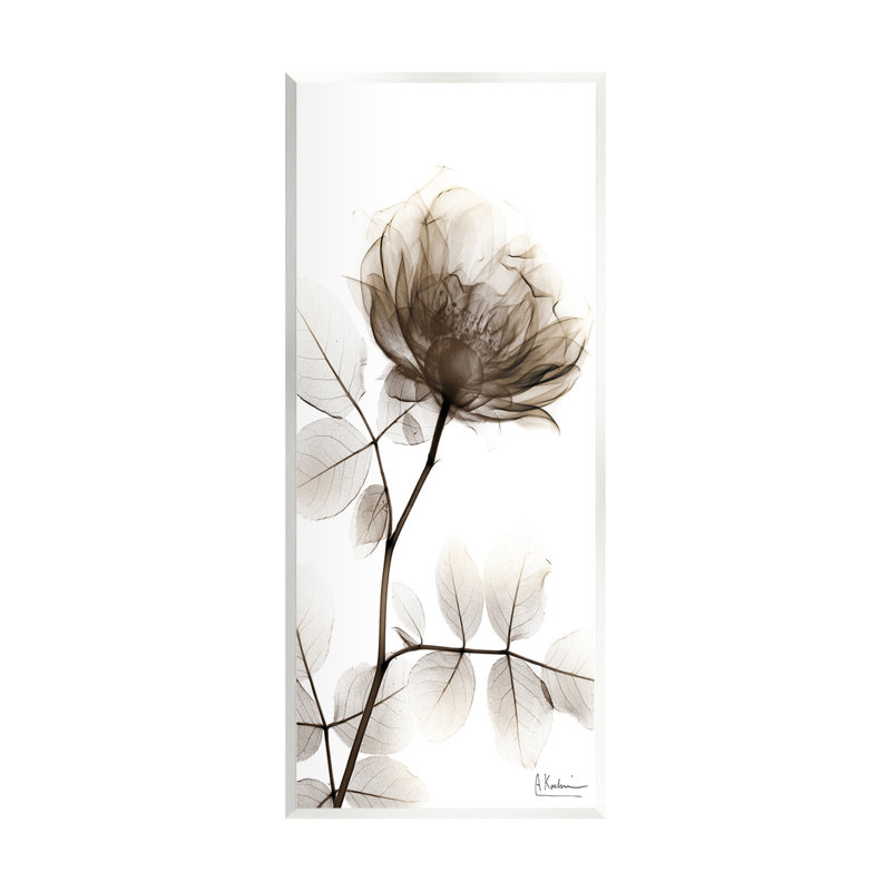 Art contemporain sur plaque de fleurs aux rayons X par Albert Koetsier