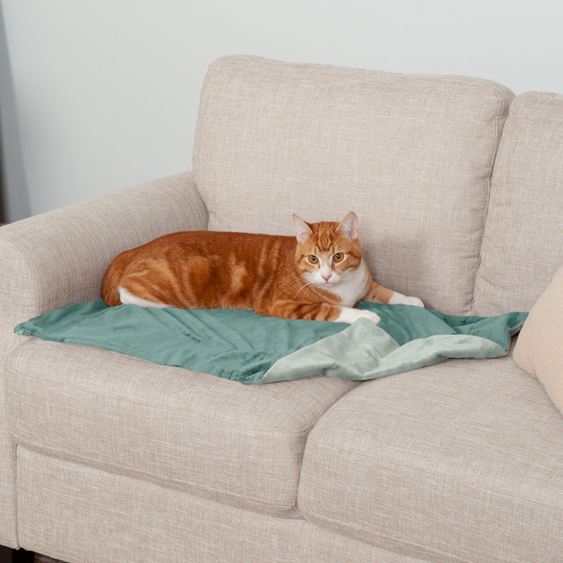 Waterproof Faux Velvet Throw Blanket, Celadon Green, 30" x 20"