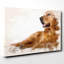 Golden Retriever Dog - Wrapped Canvas-35552734