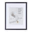 Cadre photo Niambh Latitude Run 11 X 14, cadre pour affiche en bois noir avec passe-partout 8 X 10 et plateau de table avec drap en plexi (un paquet)-448551104-448551111