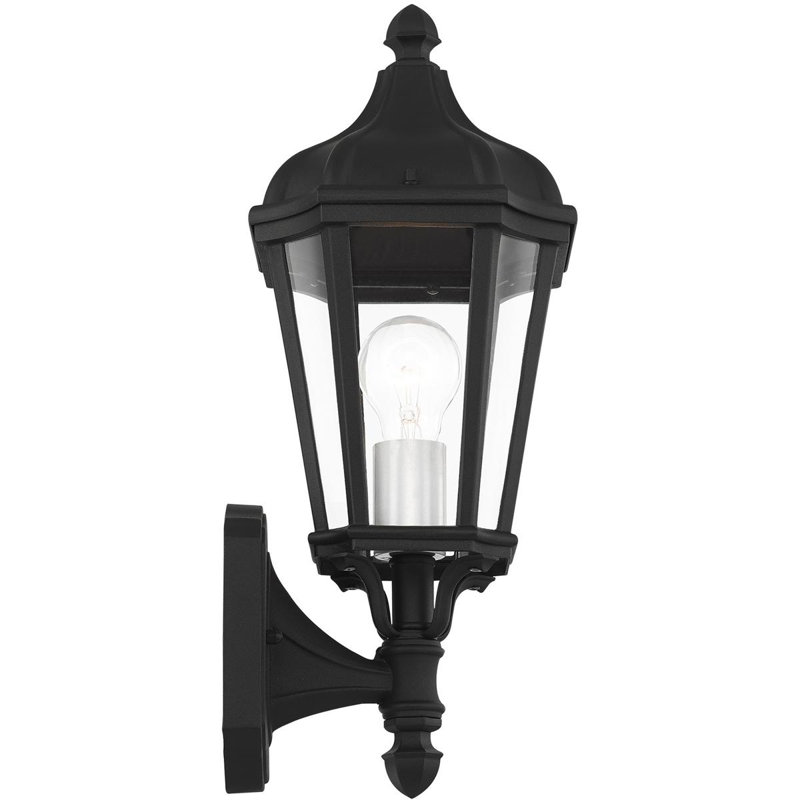 7-Inch 1-Light TBK Outdoor Wall Lantern Clear Glass, Bronze/Nickel