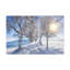 Petit sentier en hiver à travers les arbres, art mural sur toile