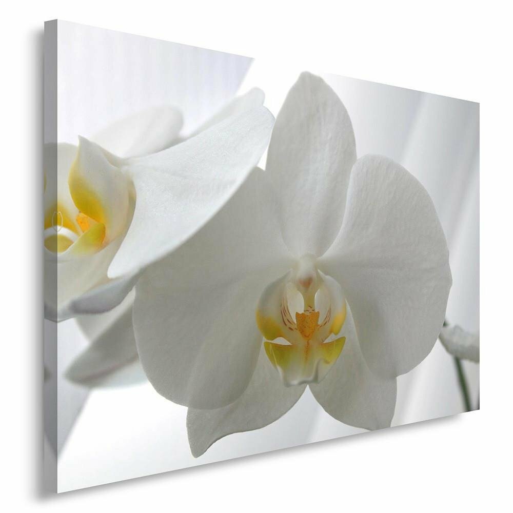 Leinwandbild Weiße Orchideen 2-gerollte Leinwand Fotodruck