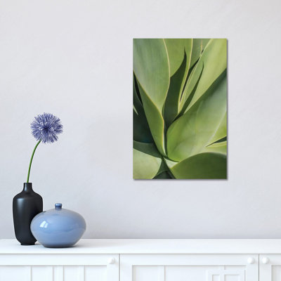 Aloe II by Barbara Markoff - Wrapped Canvas Print