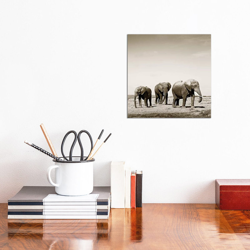Lumbering Elephants by Klaus Tiedge - Wrapped Canvas Print, 30.48 cm H x 30.48 cm W