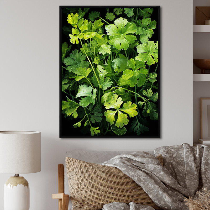 Herbes, coriandre, éclaboussure 4 - Art floral, Cadre flottant noir, H 40 po x l 30 po