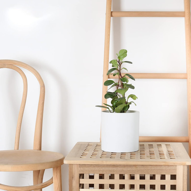5.9" White Ceramic Planter With Drainage & Plug