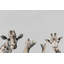 «Goofy Duos», reproduction sur toile-1574689708
