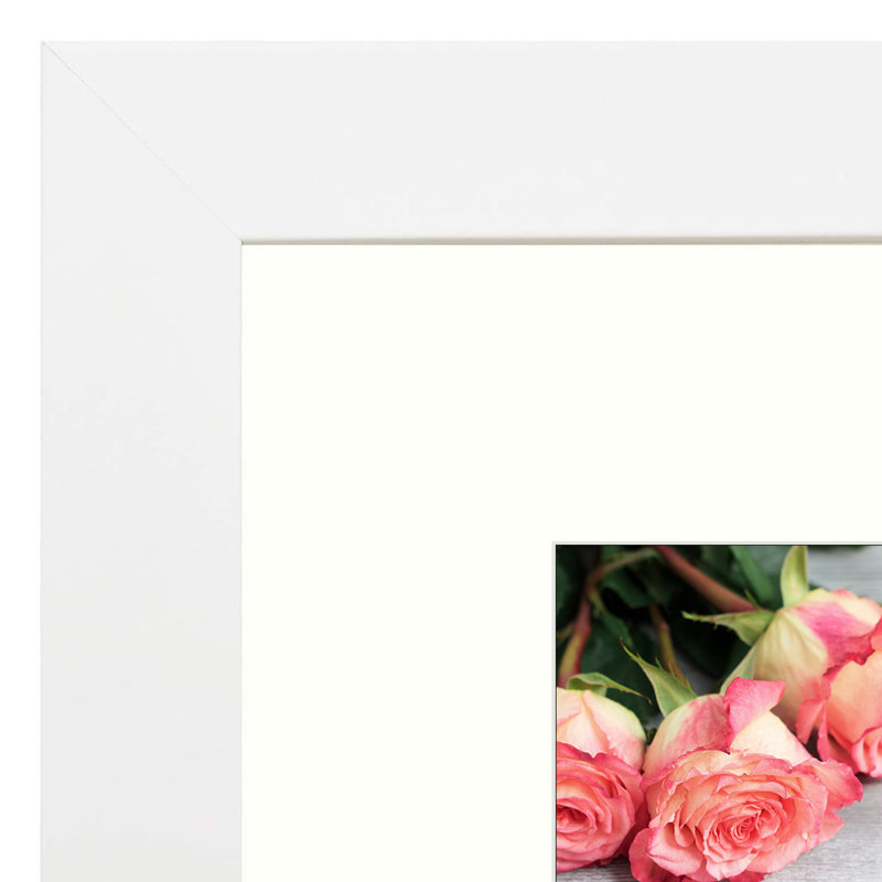 Cadre pour photo simple en bois mat - Basics by Wayfair ™, Blanc, 12 po x 12 po emmêlé à 8 po x 8 po