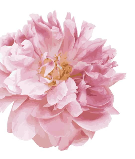 Plants & Flowers Non-Wall Damaging Wall Decal