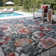 Lenapah Indoor / Outdoor Rug