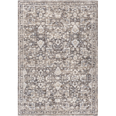 Evelien Oriental Indoor Rug