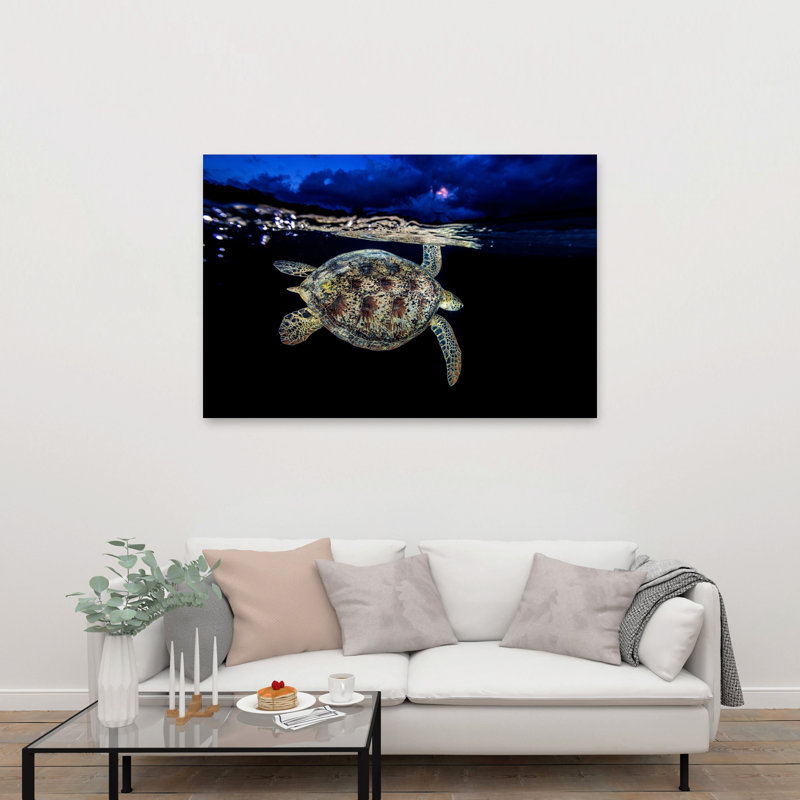 Sea Turtle Night Swim Peaceful Serene Tranquil Turtle Nature Ocean Wall Art Print 1 Piece Wrapped Canvas Wall Art