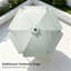 Parasol