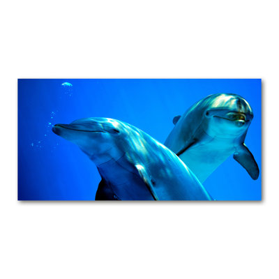 Two Dolphins - Wrapped Canvas Print