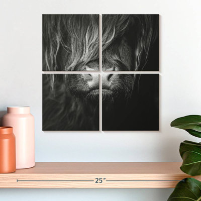 Visage de vache Brampt Highland