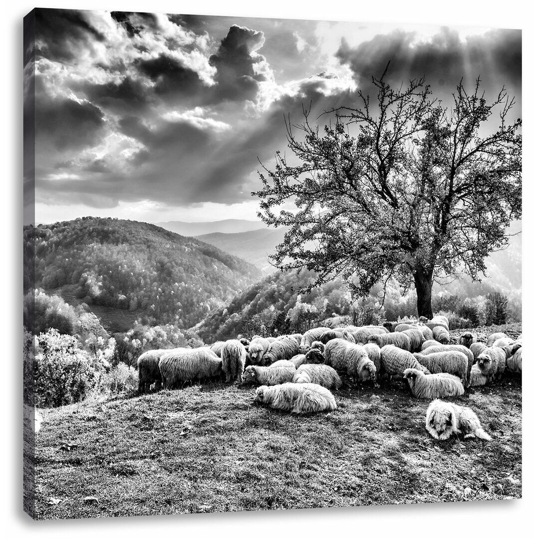 Leinwandbild Romanian Carpathians Gebirge im Herbst