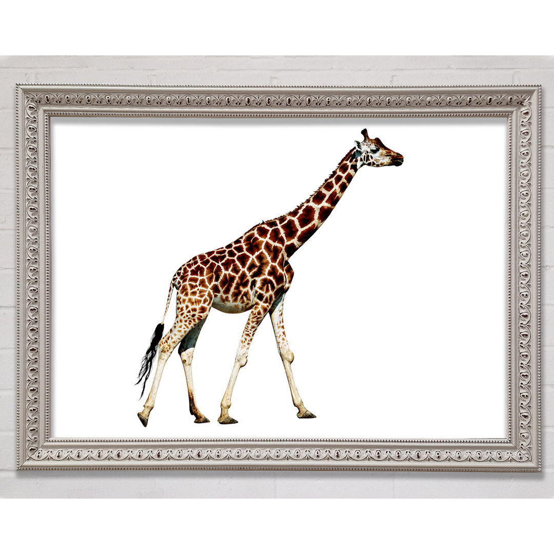 Giraffe Walk - Druck