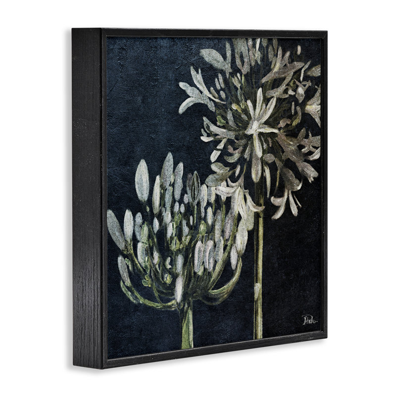 «Blooming White Herbs», art de la giclée encadrée par Patricia Pinto, Giclée encadrée noir minuit, H 17 po x l 17 po