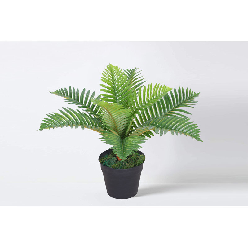 Faux Palm Plant in Pot, 50"H x 50"W