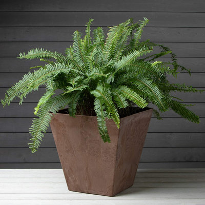 Pot Planter