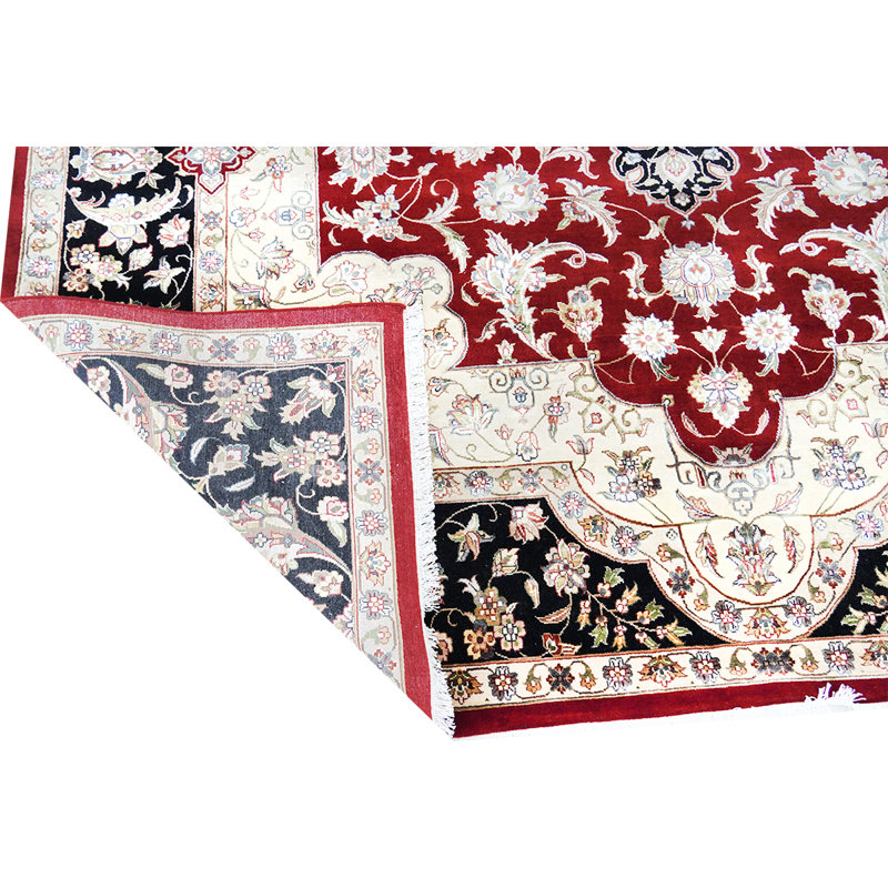 Oriental Area Rug, Rectangle 6' x 9'