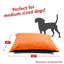 Coussin pour chien Villa Majestic-70092219-70092217