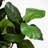 72'' Faux Fiddle Leaf Fig Plant Pure Garden Artificial Fiddle Leaf Fig Tree-1951716811