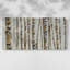 Sparkle Birch - Toile tendue avec châssis - Prêt à accrocher-51608919