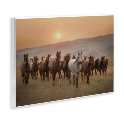 «Herd of Horses on Journey», art mural PHBurchett